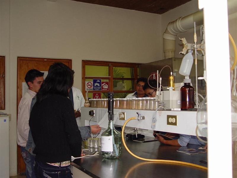 DSC02327 (Large).JPG